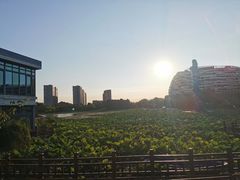 -海天湖公园