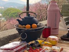 -香雪海