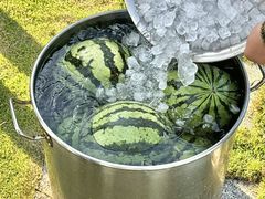 -七的湖·晚芳亭·阳澄湖农家菜·大闸蟹(莲花岛店)