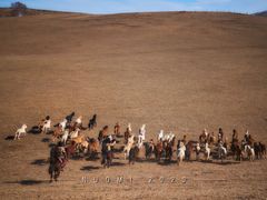 -塞罕坝国家级自然保护区