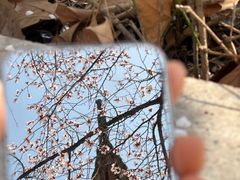 -江宁织造博物馆