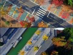 -泗洪洪泽湖湿地景区