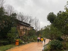 -杭州开元森泊度假乐园