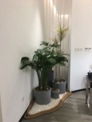 -RnD瑷缇专业美甲美睫