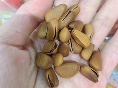 -小宝栗子(嘉华国际商业中心店)