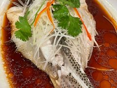 -院8里·小聚园(九眼桥店)