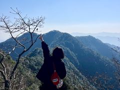 -午潮山国家森林公园