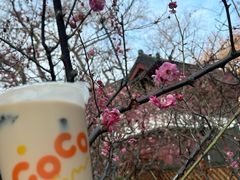 -CoCo都可(虹口龙之梦店)