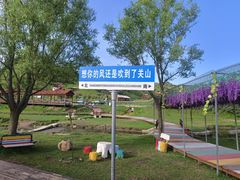 -关山草原