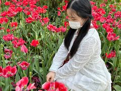 -石家庄市植物园