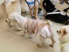 -怪兽屋·羊驼·猫咖·狗咖(俊华广场店)