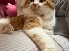 -达爱动物医院·犬猫分区·CT·复杂眼科(远洋山水分院)