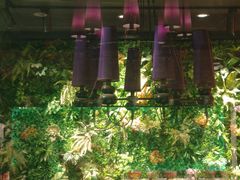 大堂-天都火锅酒楼(虹梅南路店)