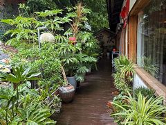 -米氏火鱼·泡椒鱼火锅(李子坝老店)