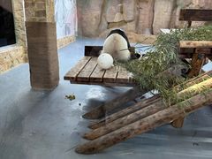 -无锡动物园·太湖欢乐园