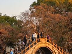 -江心屿景区