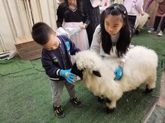 -HERRE·FARM 赫尔露营农场·团建聚会包场