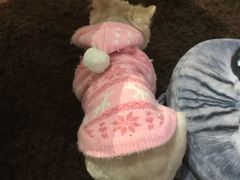 -小时光咖啡馆(开森度假森林店)