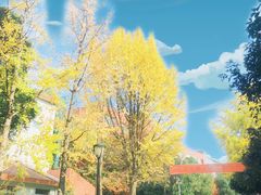 -南京特殊教育师范学院(燕子矶校区)