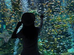 -合肥海洋世界