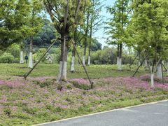 -南北湖风景区