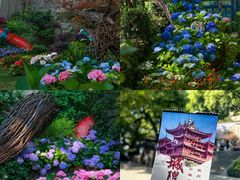 -城隍阁