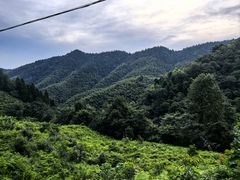 -南岳衡山风景名胜区-南岳大庙