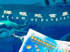 -蓬莱欧乐堡海洋极地世界