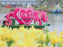 -荷兰花海