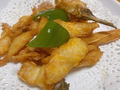 -翠景湾脆鱼轩·中山脆肉鲩(井岸17年老店)