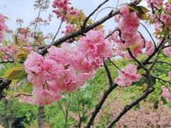 -玄武湖景区-情侣园游乐场