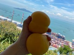 -小南山公园