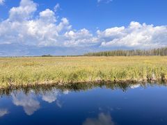 -野鸭湖国家湿地公园