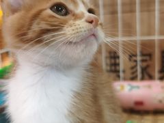 -双季花艺园艺市场(浦东店)