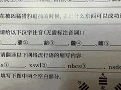 -牛New寿喜烧(金鹰世界店)