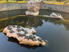 -八景休閒山莊  廣東十大名山莊