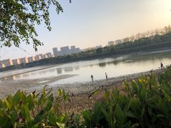 -艾溪湖湿地公园