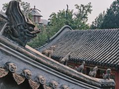 -莲池书院博物馆