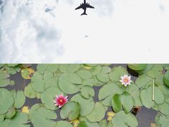 -苏州太湖国家湿地公园