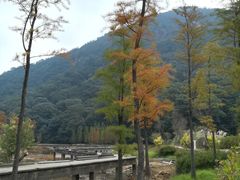 -广州市石门国家森林公园