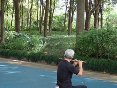 -苏州河梦清园环保主题公园