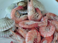 -视界美食自助餐厅·石家庄希尔顿酒店