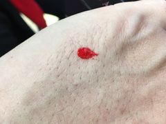 -法兰克福机场免税店(2号航站楼店)