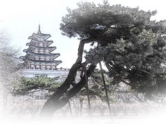-景福宫