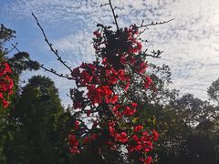 -成都杜甫草堂博物馆