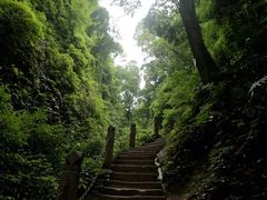 -青城山