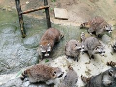 -杭州野生动物世界