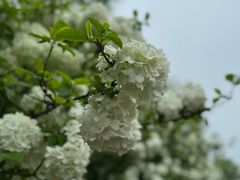 -漕湖湿地公园