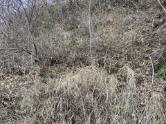 -北京张裕爱斐堡酒庄
