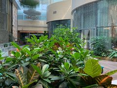 -青岛海尔洲际酒店